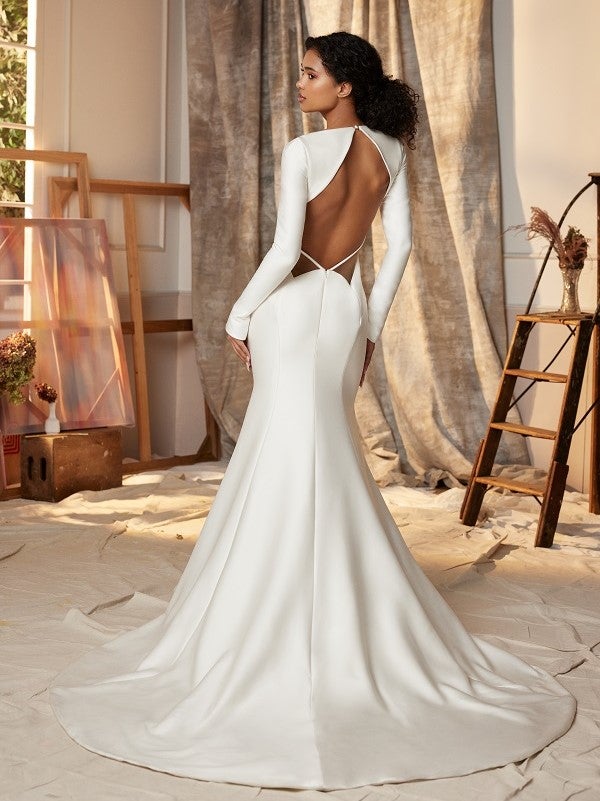 PALMA(back)