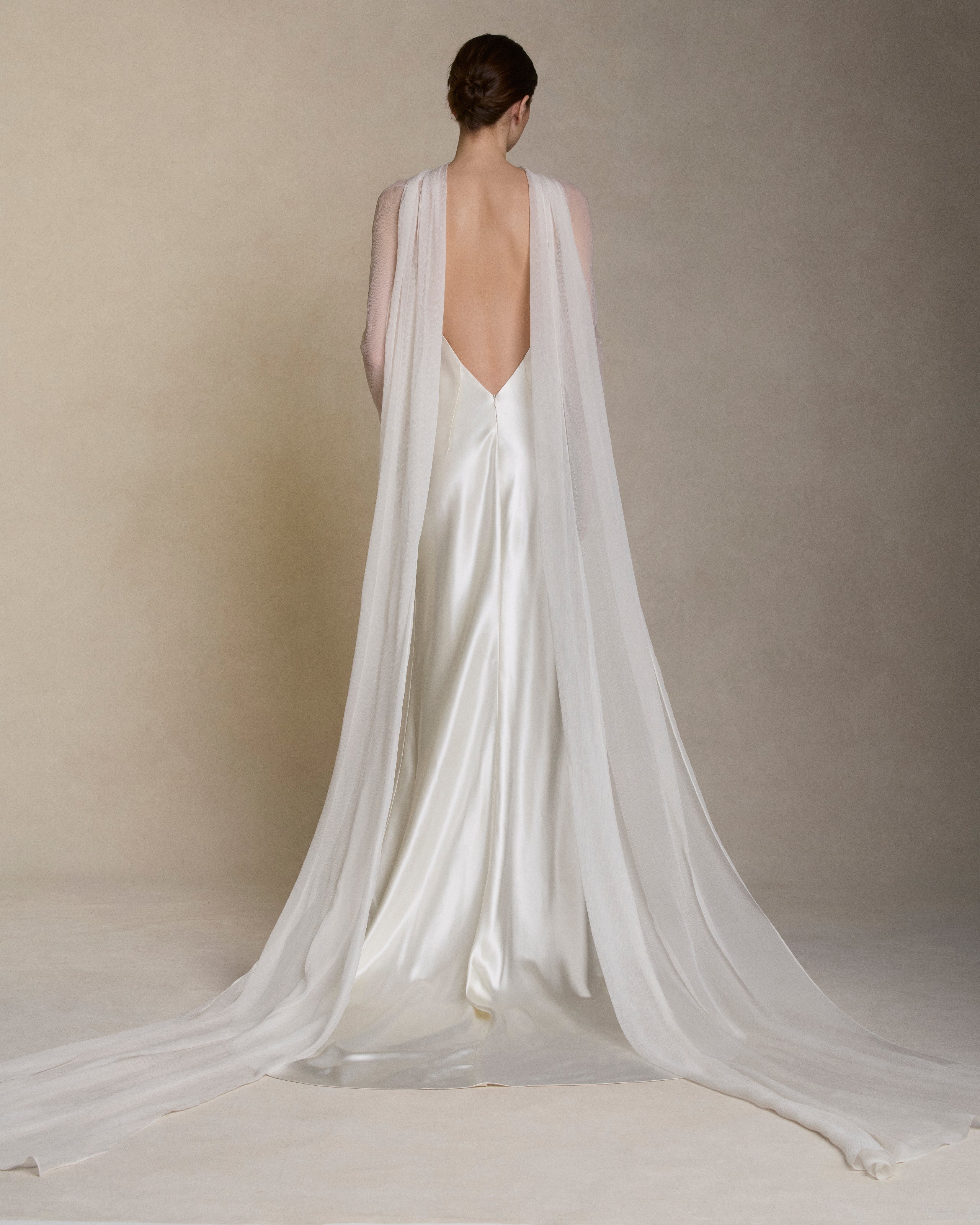 MariwithCrinkleChiffonSleeves(back)